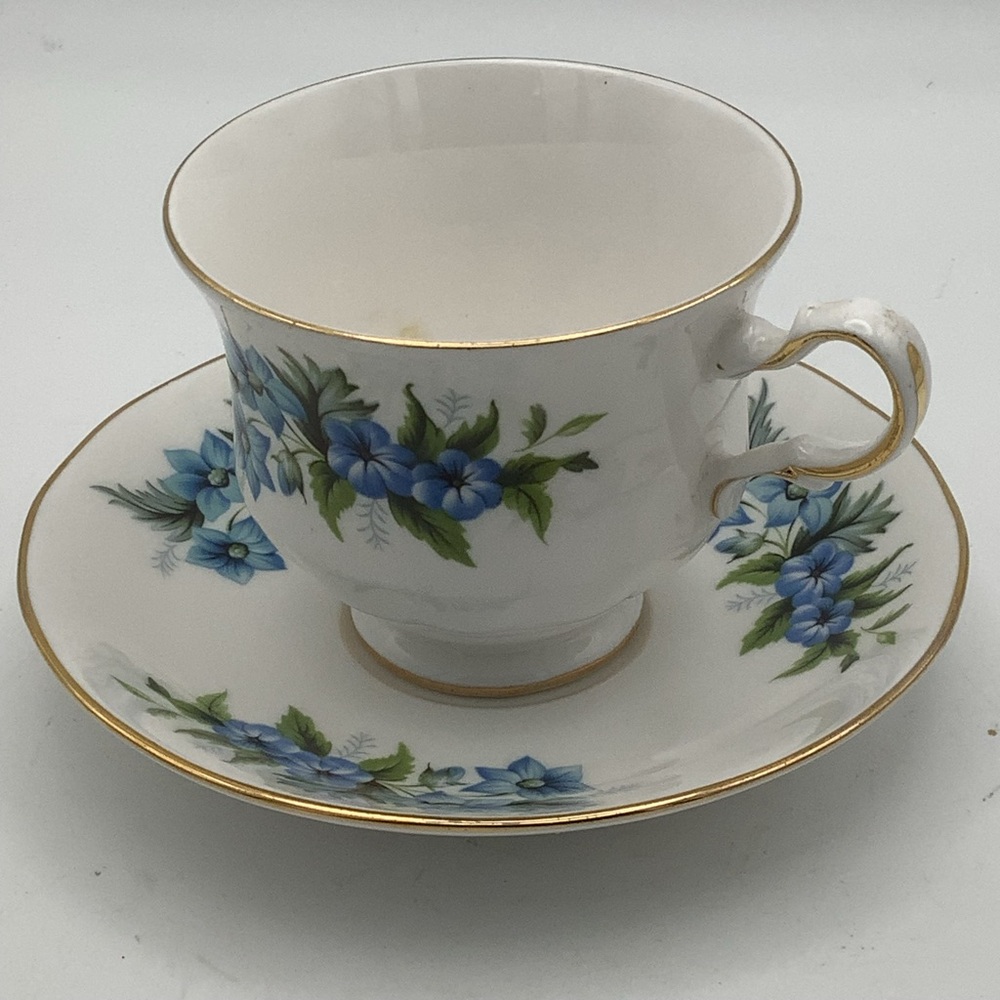 Queen Anne English Bone China Tea Cup and Saucer